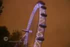 london14_small.jpg